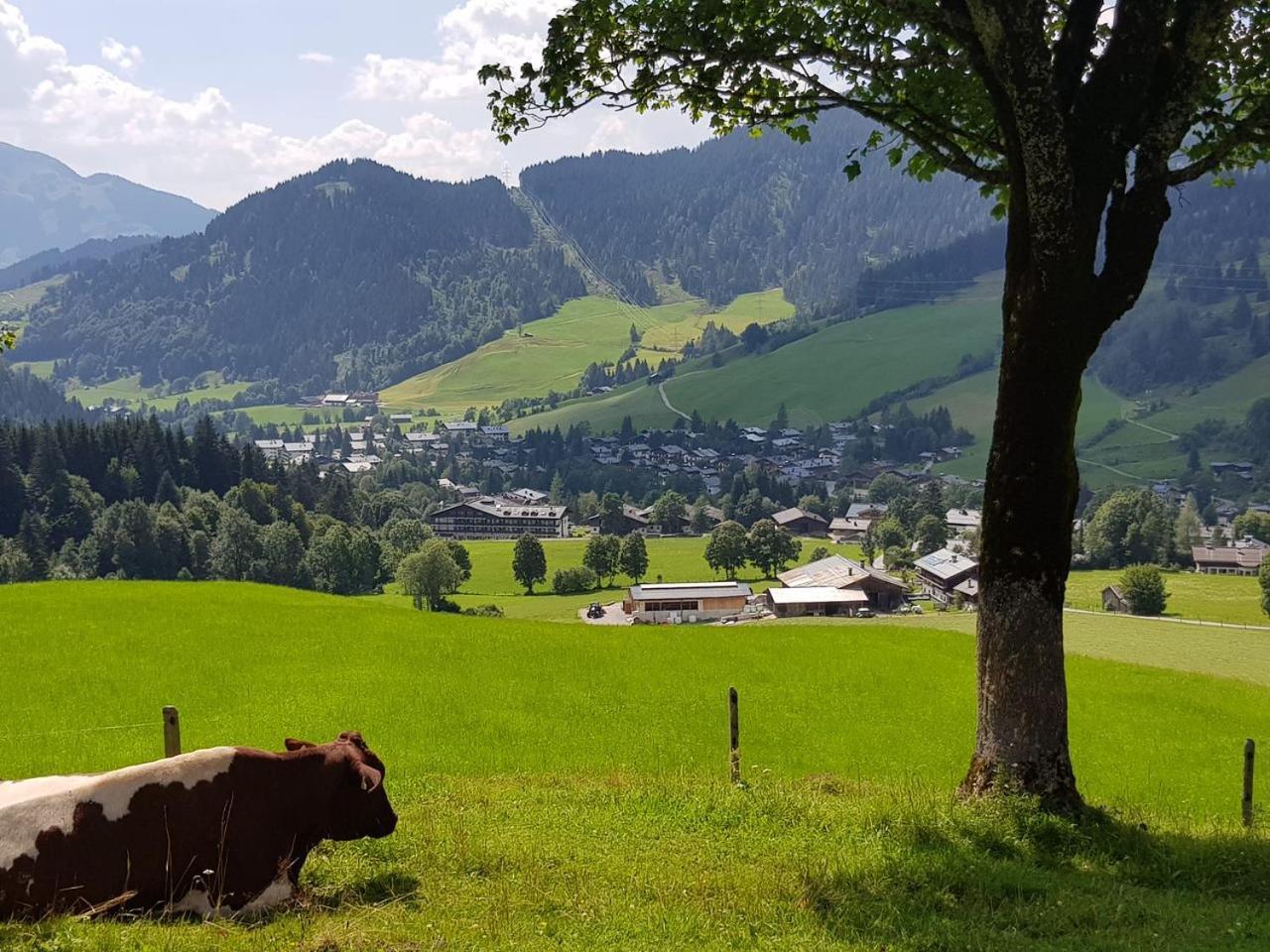 Haus Sonnleiten Maria Alm am Steinernen Meer Exterior photo